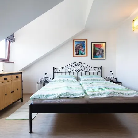 Farma Loreta Gospodarstwo agroturystyczne *