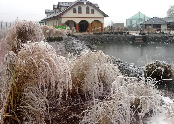 Farma Loreta Feriegård *